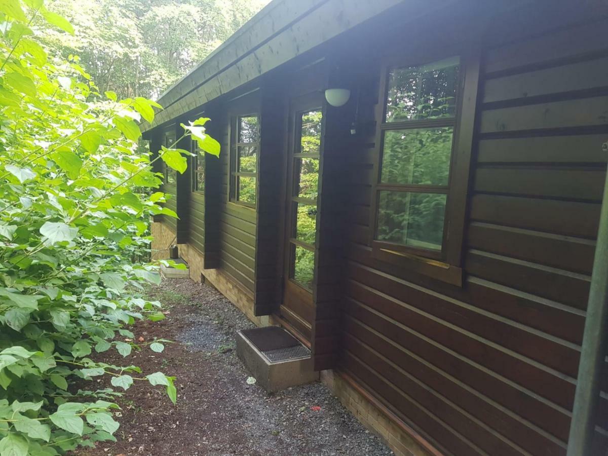 Bungalow; Haus 111 Ferienpark Twistesee, Bad Arolsen Exterior photo