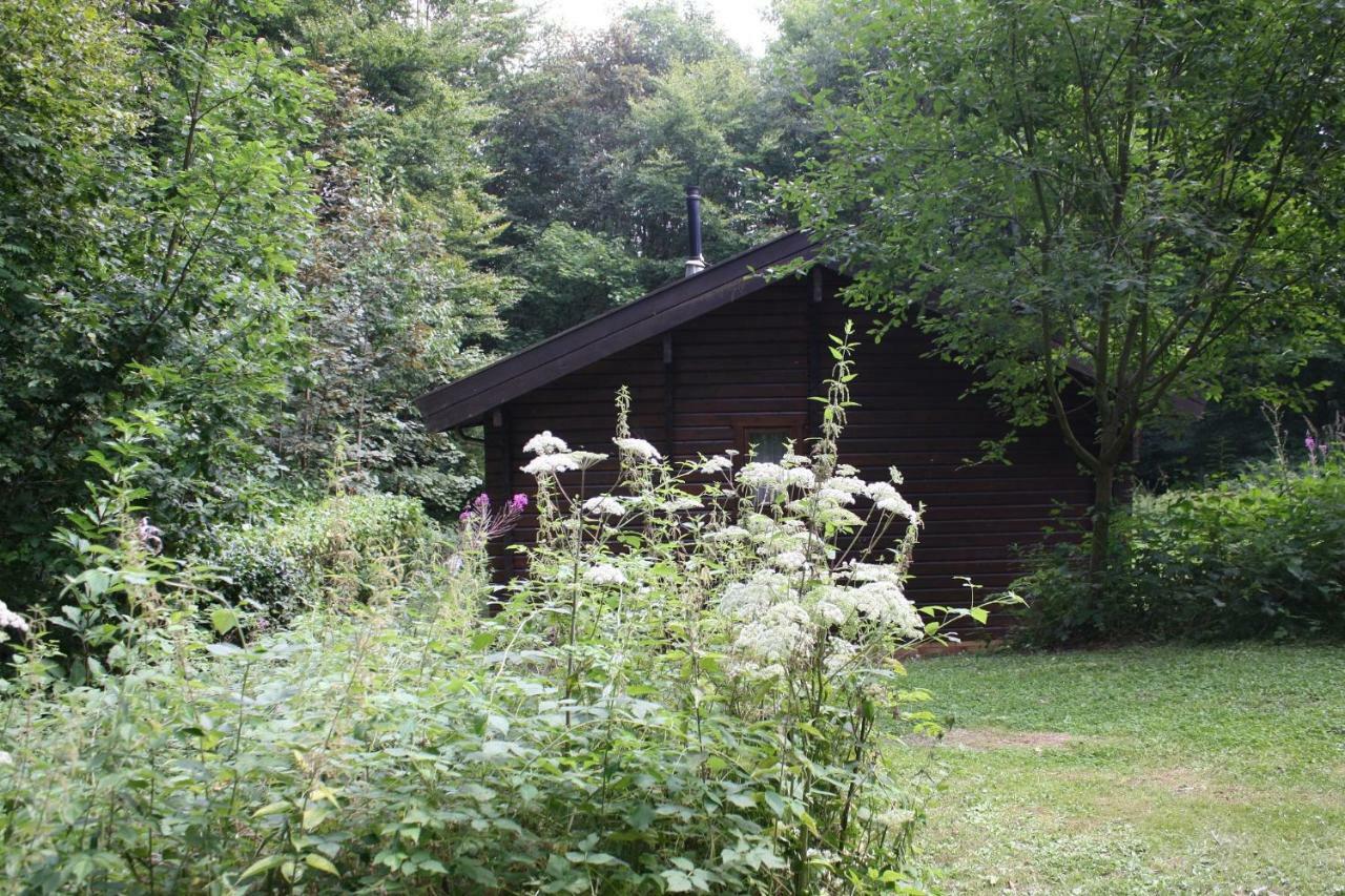 Bungalow; Haus 111 Ferienpark Twistesee, Bad Arolsen Exterior photo